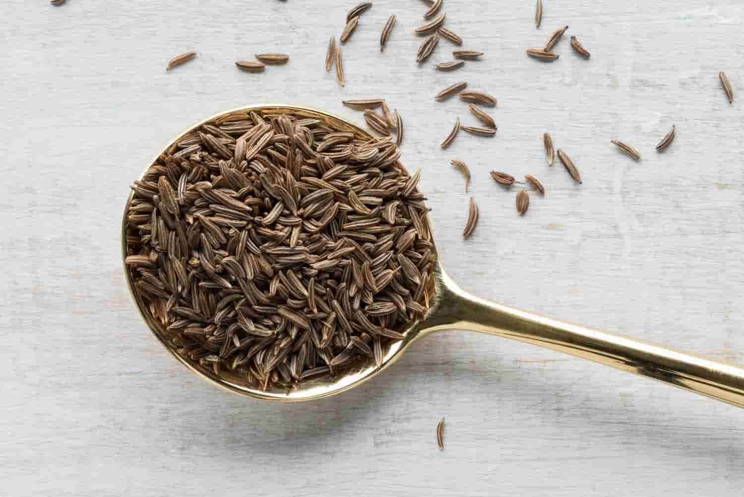 زیره سیاه برای لاغری با کیفیت مناسب مصرف گیاهی